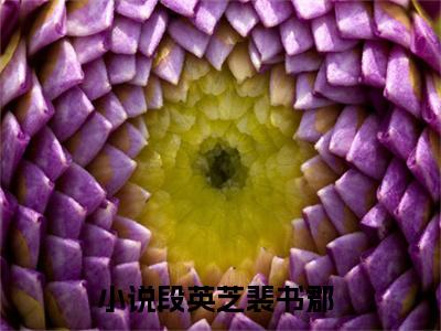 段英芝裴书郡全文免费阅读无弹窗大结局_章节列表_笔趣阁
