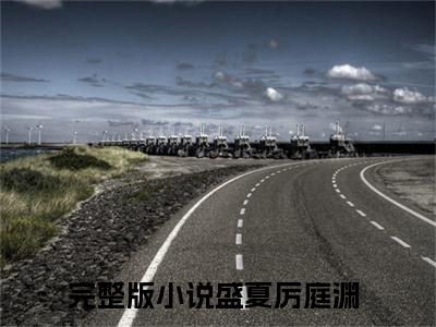 盛夏厉庭渊小说免费阅读-盛夏厉庭渊无广告全文阅读