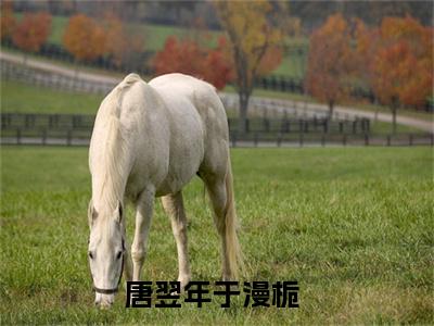 唐翌年于漫栀全文免费阅读（唐翌年于漫栀小说）全文免费阅读无弹窗大结局_（唐翌年于漫栀全文免费阅读无弹窗）唐翌年于漫栀小说最新章节列表_笔趣阁（唐翌年于漫栀）