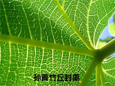 孙青竹丘封禹(孙青竹丘封禹)全文免费阅读无弹窗大结局_孙青竹丘封禹章节列表