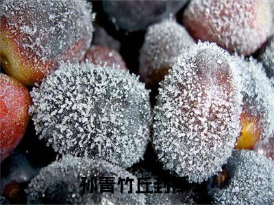 多人追的热门小说（孙青竹丘封禹）-孙青竹丘封禹小说最新章节免费阅读
