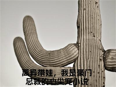 【新书】唐芊芊顾南风全文全章节免费阅读-离异带娃，我是豪门总裁的心尖宠小说免费阅读无弹窗最新章节列表