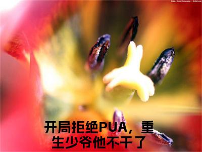 人气小说楚子业楚安尘在线阅读-正版小说《楚子业楚安尘》开局拒绝PUA，重生少爷他不干了全文阅读