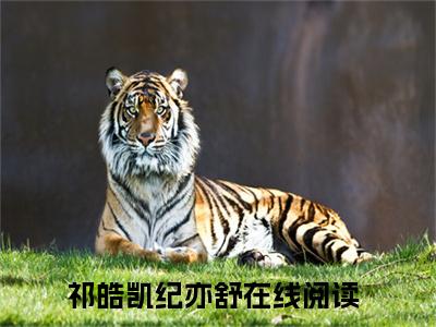 祁皓凯纪亦舒小说_祁皓凯纪亦舒全文阅读_小说免费阅读最新章节列表(祁皓凯纪亦舒)笔趣阁