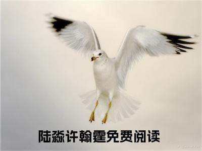 陆淼许翰霆（联姻后，许总拦腰把我宠）全文免费阅读无弹窗大结局_（陆淼许翰霆免费阅读全文大结局）最新章节列表