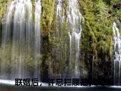 陆淼许翰霆（联姻后，许总拦腰把我宠）全文免费读无弹窗大结局_陆淼许翰霆免费陆淼许翰霆读无弹窗最新章节列表_笔趣阁