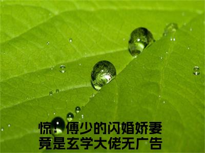 惊！傅少的闪婚娇妻竟是玄学大佬热门小说在线阅读傅时寒叶夕瑶全网推荐（惊！傅少的闪婚娇妻竟是玄学大佬）全文