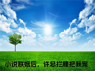 陆淼许翰霆高赞小说（联姻后，许总拦腰把我宠）完结阅读_陆淼许翰霆全文完整版免费阅读最新章节列表
