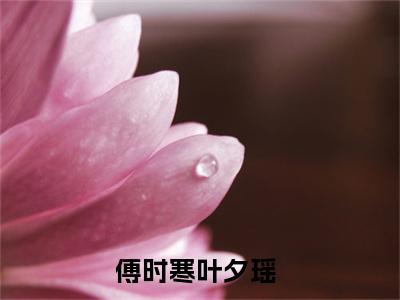 惊！傅少的闪婚娇妻竟是玄学大佬（傅时寒叶夕瑶）全文免费阅读无弹窗大结局_惊！傅少的闪婚娇妻竟是玄学大佬免费试读阅读全文无弹窗