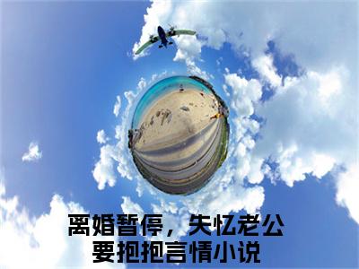 季时彦苏妗（离婚暂停，失忆老公要抱抱）全文免费阅读无弹窗大结局_季时彦苏妗在线阅读笔趣阁（离婚暂停，失忆老公要抱抱）