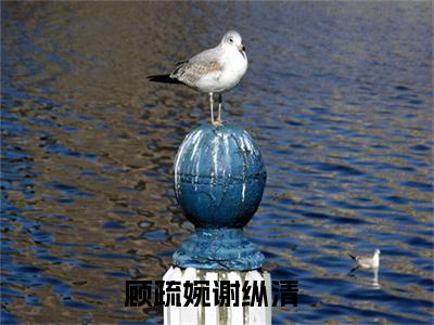 顾疏婉谢纵清（顾疏婉谢纵清全文）全文免费阅读无弹窗_顾疏婉谢纵清全文小说最新小说_笔趣阁（顾疏婉谢纵清全文）