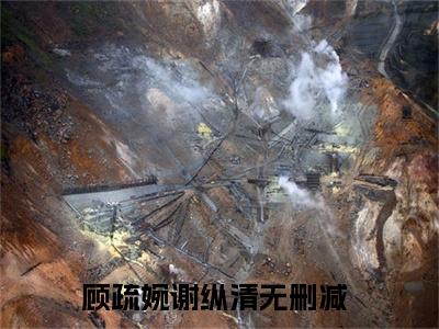 主人公叫顾疏婉谢纵清的小说哪里免费看顾疏婉谢纵清