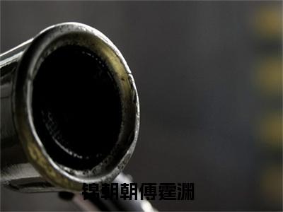 锦朝朝傅霆渊全本资源免费阅读结局无删节主角：锦朝朝傅霆渊小说全文阅读无弹窗
