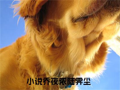 乔夜浓陆霁尘全文免费阅读-（乔夜浓陆霁尘）小说全文免费阅读正版无弹窗