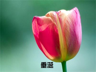 垂涎小说免费阅读无弹窗，小说名字是：谢清舟江南的小说在线阅读无删减
