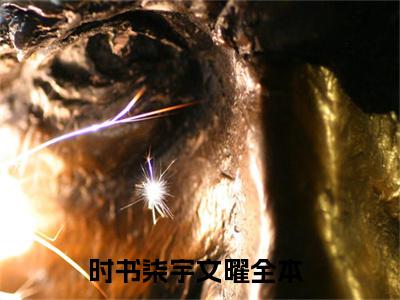 时书柒宇文曜（时书柒宇文曜全文免费）全文免费阅读_时书柒宇文曜全文免费阅读无弹窗最新章节列表_笔趣阁（时书柒宇文曜）