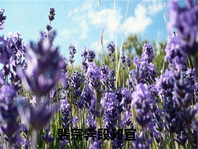 男女主人公叫裴宗霁段知宜的小说裴宗霁段知宜免费在线