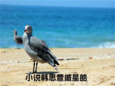 热文（韩思萱戚星皓）美文阅读_热门小说韩思萱戚星皓主人公是（韩思萱戚星皓）最新章节最新章节列表_笔趣阁