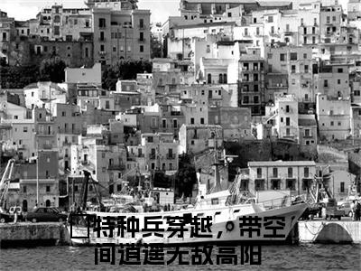 特种兵穿越，带空间逍遥无敌高阳全文免费阅读无弹窗大结局-特种兵穿越，带空间逍遥无敌高阳 全文全章节免费阅读