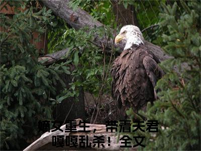 嫡女重生，带着夫君嘎嘎乱杀！小说（萧灵玉）全文免费嫡女重生，带着夫君嘎嘎乱杀！阅读无弹窗大结局-（萧灵玉）笔趣阁