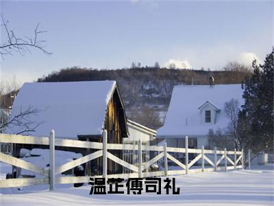 温芷傅司礼小说全文免费在线阅读-温芷傅司礼全文试读最新章节列表