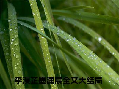 李漫芷墨潇宸（夫人，将军今晚又来了）全文免费阅读_李漫芷墨潇宸最新章节列表言情小说在线阅读