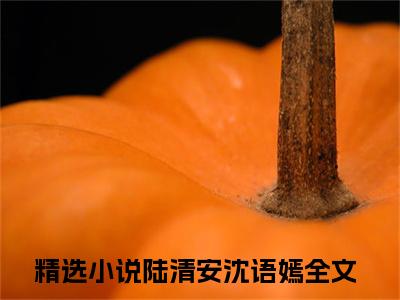 陆清安沈语嫣免费小说 陆清安沈语嫣全文阅读目录
