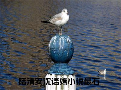 陆清安沈语嫣小说（陆清安沈语嫣）全文免费阅读无弹窗大结局_（陆清安沈语嫣免费阅读）陆清安沈语嫣最新章节列表_笔趣阁（陆清安沈语嫣）