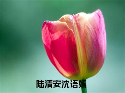 陆清安沈语嫣（陆清安沈语嫣）全文免费阅读无弹窗大结局_ (陆清安沈语嫣小说免费阅读)最新章节列表_笔趣阁