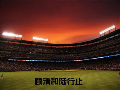 顾清和陆行止（顾清和陆行止）小说全文免费阅读正版无弹窗_顾清和陆行止完结免费阅读无弹窗_笔趣阁