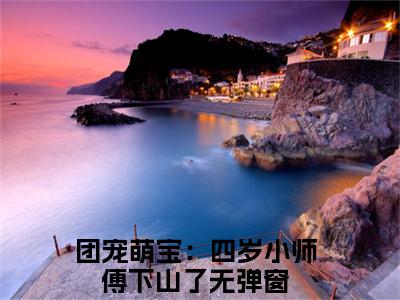 安景轩夏雨沫小说（团宠萌宝：四岁小师傅下山了）全文免费阅读无弹窗大结局_安景轩夏雨沫全文免费完结版阅读（团宠萌宝：四岁小师傅下山了）