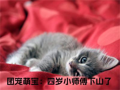 团宠萌宝：四岁小师傅下山了美文欣赏完整版，安景轩夏雨沫精彩章节在线阅读
