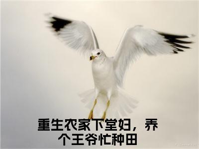 重生农家下堂妇，养个王爷忙种田小说林初九全文免费阅读无弹窗-正版小说重生农家下堂妇，养个王爷忙种田全文阅读（后续+免费）