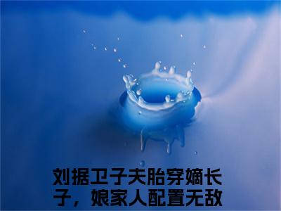 胎穿嫡长子，娘家人配置无敌了（刘据卫子夫）全文阅读-最火热点小说胎穿嫡长子，娘家人配置无敌了最新更新