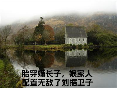主角是刘据卫子夫的小说-胎穿嫡长子，娘家人配置无敌了全章节在线阅读