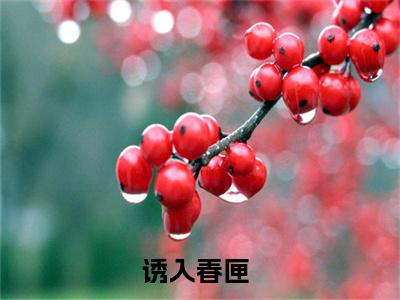 （诱入春匣）文盈全文完整版-最新热门榜单小说诱入春匣（文盈）