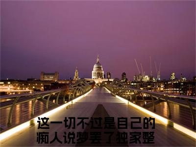 这一切不过是自己的痴人说梦罢了小说在线阅读全文无弹窗_姜倪倪褚司琰小说最新全文完整无删减版
