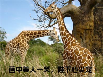 画中美人一笑，陛下心尖宠（苏清梨淳于烈）全文免费阅读无弹窗大结局_画中美人一笑，陛下心尖宠_笔趣阁（苏清梨淳于烈）