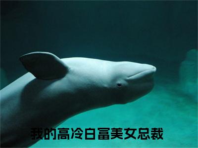 我的高冷白富美女总裁全文免费阅读无弹窗大结局_（陈铭）我的高冷白富美女总裁全文免费无弹窗最新章节列表_笔趣阁