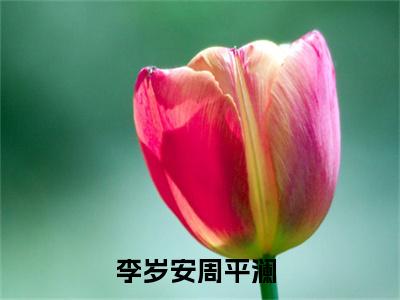 李岁安周平澜新上精彩热文小说全文-李岁安周平澜完整版全文在线赏析