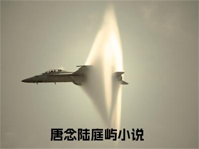唐念陆庭屿小说全文免费阅读 唐念陆庭屿最新章节