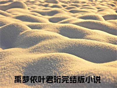 禹梦依叶君珩（禹梦依叶君珩）全文完整版免费阅读_（禹梦依叶君珩小说免费阅读）最新章节列表