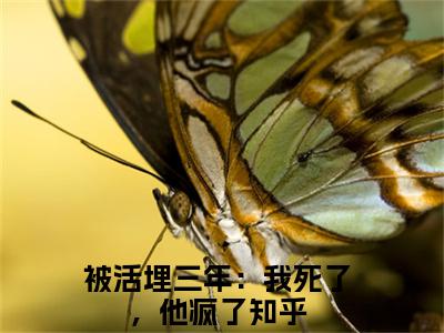 裴枭宋明珠（被活埋三年：我死了，他疯了）全文免费阅读无弹窗_被活埋三年：我死了，他疯了最新小说_笔趣阁