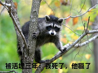 裴枭宋明珠（被活埋三年：我死了，他疯了）全文免费阅读无弹窗大结局_裴枭宋明珠最新章节列表-笔趣阁被活埋三年：我死了，他疯了