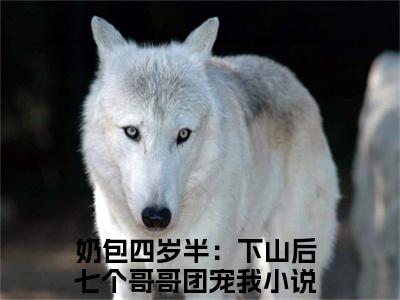 （热推新书）《奶包四岁半：下山后七个哥哥团宠我》粥粥李元明无弹窗阅读_奶包四岁半：下山后七个哥哥团宠我最新章节列表_笔趣阁