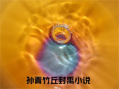 孙青竹丘封禹正版小说最新章节在线阅读-小说孙青竹丘封禹已完结全集大结局