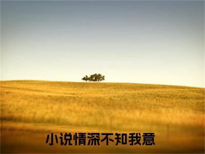 情深不知我意全文免费大结局顾南浔沈云清小说在线阅读