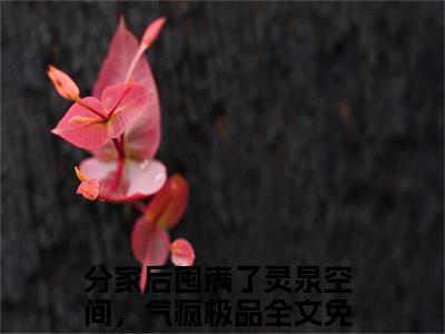 苏玥王富贵全文免费在线阅读_（苏玥王富贵免费阅读无弹窗）分家后囤满了灵泉空间，气疯极品全文免费完结版阅读（苏玥王富贵）