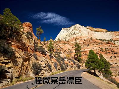 程微棠岳凛臣全本资源免费阅读结局无删节主角：程微棠岳凛臣小说全文阅读无弹窗