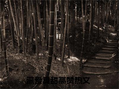 深爱真甜是哪部小说的主角，蒋轶津贺汀渔全文在线赏析